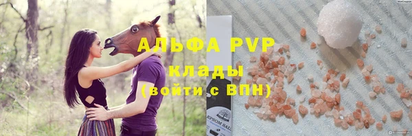 крисы Козловка