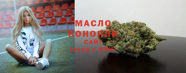 крисы Козловка