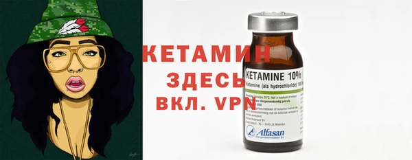 индика Киреевск