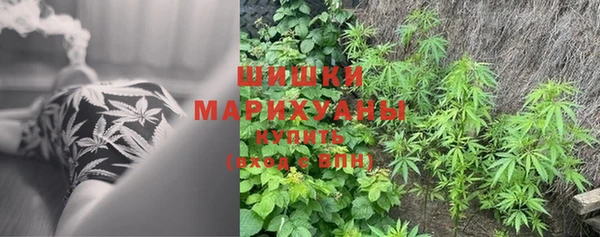 бутират Кодинск