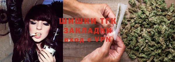 индика Киреевск