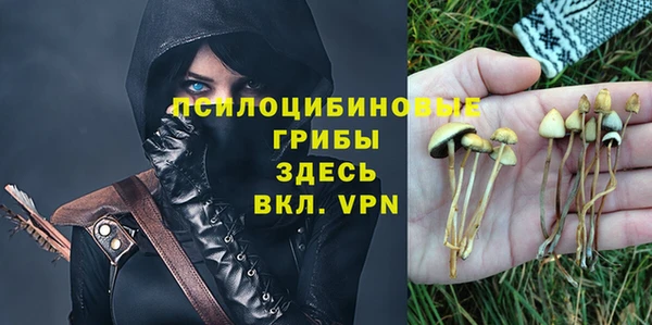 крисы Козловка
