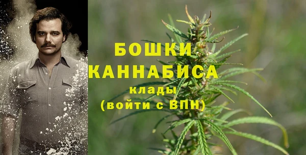 крисы Козловка