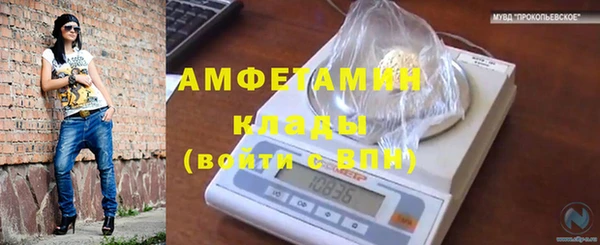 индика Киреевск