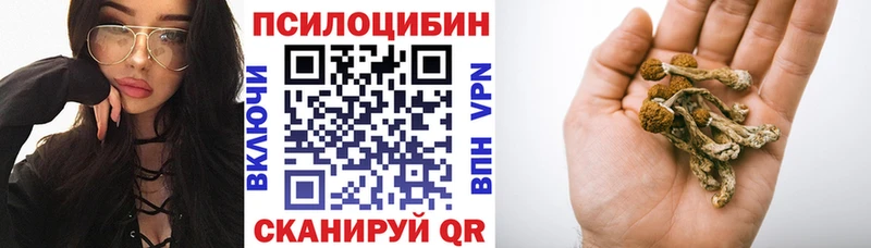 Купить  Чаплыгин  Псилоцибиновые грибы Magic Shrooms 
